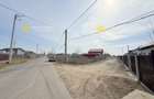 teren 600mp in Vanatori la iesirea spre Odaia Manolache - 1