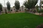 Vila pentru inchiriat in Dragomiresti Vale!!! - 6