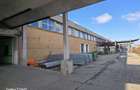 Inchiriere depozit/hala/spatiu industrial Buftea - DN1A, ILFOV - 5
