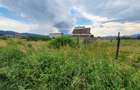 Teren rezidential Brasov – Cristian zona de case - 2