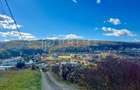 Teren cu potențial multiplu de dezvoltare – Corunca, E60, 10.000 mp - 3