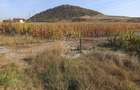Parcele intre 770 mp si 4606 mp-ideal investitie-Sarata - 1