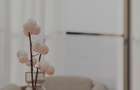 2 camere 153562 EURO cu TVA inclua - 12