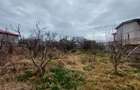 TEREN 1110mp  |  KAMSAS  |  CONSTANTA - 3