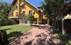 Iancu Nicolae vila tip Duplex 380 mp - 1