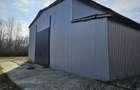 Vanzare amplasament industrial-servicii Tatarasti, Teleorman - 3