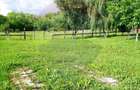 Teren intravilan 6850 mp Simnic, Izvor - 2