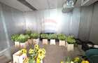 Proprietate 2.229 mp cu Dotări pentru Afacere Florală - 3