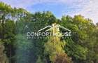 VILA D+P+E+M, 12 camere, piscina , padure, IANCU NICOLAE - 32