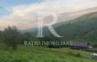 Teren 10.900mp | Panoramă în Apuseni | Remeți -Ideal pentru Investitii - 10