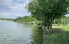 Teren 5963 mp deschidere lac Grivita 42 m cu deschidere la strazi 77 m - 1