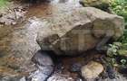 Cabana cu parau si brazi maturi, 1400mp, Valea Fericirii - 1