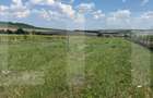 Teren intravilan, 800mp , Zona Zăicești- Botoșani