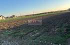 Vanzare teren constructie casa Snagov Sat Izvorani , Jud Ilfov - 5