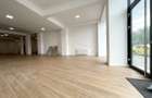 Spatiu comercial S+P // *362mp* // Victoriei - 35