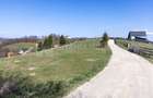 🌿 Teren Intravilan 3.791 mp | Priveliște Panoramică Superbă | Poiana Mărului - 9