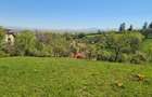 Teren deosebit - 1500 mp, Poiana Angelescu, Str. Livezii - 6