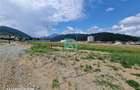 Teren intravilan, 468 mp, Sacele, Brasov - 9