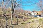Comision 0%! Teren superb de 17000mp la 5 min de Castelul Bran, 13 eur - 6