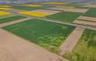Unitate investitionala: 47.577 mp, Codlea .-. Ghimbav, acces facil, ariere remar - 12