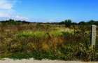 TEREN LA LAC - direct de la proprietar - 2700 mp - SAMURCAȘI- CREVEDIA - 5