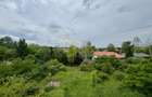 Vila cu 5 camere *616mp* / 1600mp teren / Corbeanca - 1
