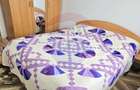 Apartament cu 2 camere de vânzare, strada Milcov - 5