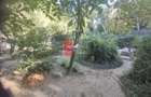 Vânzare teren intravilan Dărăști-Vlașca