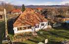 FILM! Casa cu sura, pivnita, balta cu pesti, 2.280 mp teren roditor, Lemnia, Cov - 31