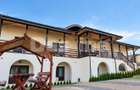 Oportunitate de investiție – pensiune turistică în Valea Lupului, Iași - 7