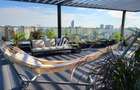 PENTHOUSE DUPLEX SPECTACULOS PIATA VICTORIEI -3 PARCARI SUBTERANE - 2