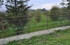 LIVADA  DE VANZARE FOCSANI-DUMBRAVITA  1,8  HA - 3