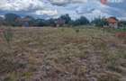 Teren intravilan de 1493 mp cu utilitati - Ianova - 5