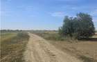 Oportunitate Investitie - Dragomiresti Vale - Zurbaua - A1 - A0 - sos Centura - 11