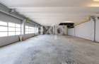 Două hale de închiriat – 863 mp | Calea Moinești | Zonă industrială - 10