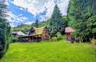 Cabană – Mureș – Sălard – Zona Pensiunea Denisa - 15