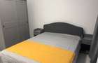 DELFINARIU 2 CAMERE RENOVAT PARTER CU BALCON 470 EURO TERMEN LUNG