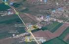 De vânzare teren intravilan – 5.000 mp – Livada, județul Arad - 2