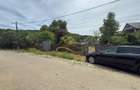 Casa cu teren intravilan 1234 mp,  Buhoci - 2