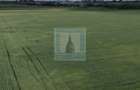 Teren intravilan 50000 mp, cu PUZ, Aprobat - zona Halchiu/Codlea - 8
