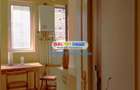 INCHIRIERE APARTAMENT 2 CAMERE in VILA ULTRACENTRAL Zona Universitate - 37
