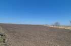 GRADISTEA - Sat Sitaru, teren agricol 11.961mp, ideal investitie - 8