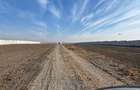 Teren Lac Snagov 11 800mp deschidere 120 ml la lac - 8