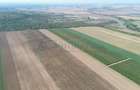 Teren intravilan de vanzare, 66400 mp, langa Oradea, Bihor - 9