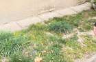 Str. Serelor (Parcul Central) Apartament cu 4 camere, decomandat, beci +garaj! - 13