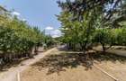 Proprietate multifunctionala | Doua cladiri | 581 mp | Pitesti - 31