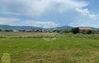 Teren 7200 mp-parcelabil-investitie-Sieu Magherus la 16 km de Bistrita - 1
