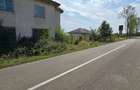 Constructii la strada in Cucorani pe 1 ha de teren - 5