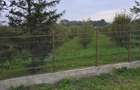 LIVADA  DE VANZARE FOCSANI-DUMBRAVITA  1,8  HA - 4