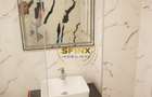 Nordului, 4 camere, living 70mp, renovat, mobilat, garaj, pet friendly - 10